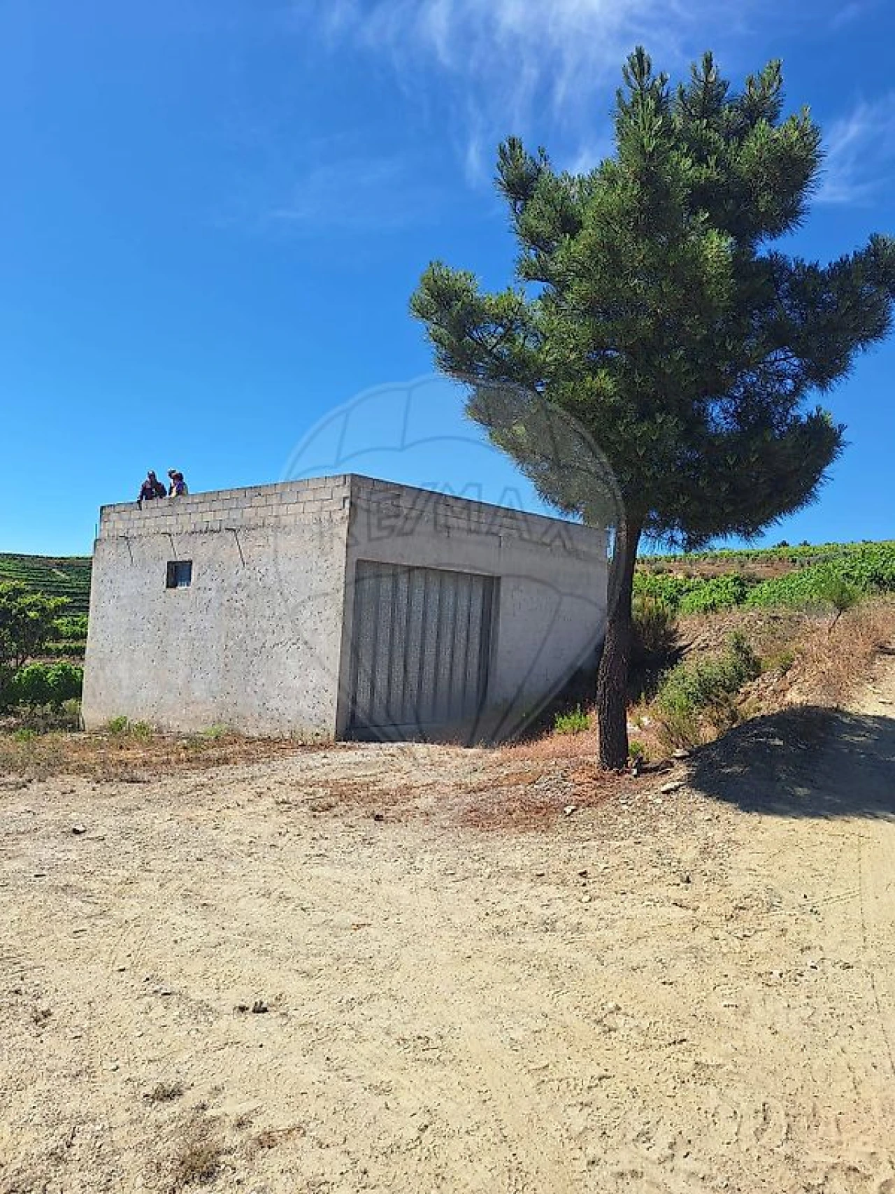 Quinta T
           para Venda em São João da Pesqueira e Várzea de Trevões Foto 10