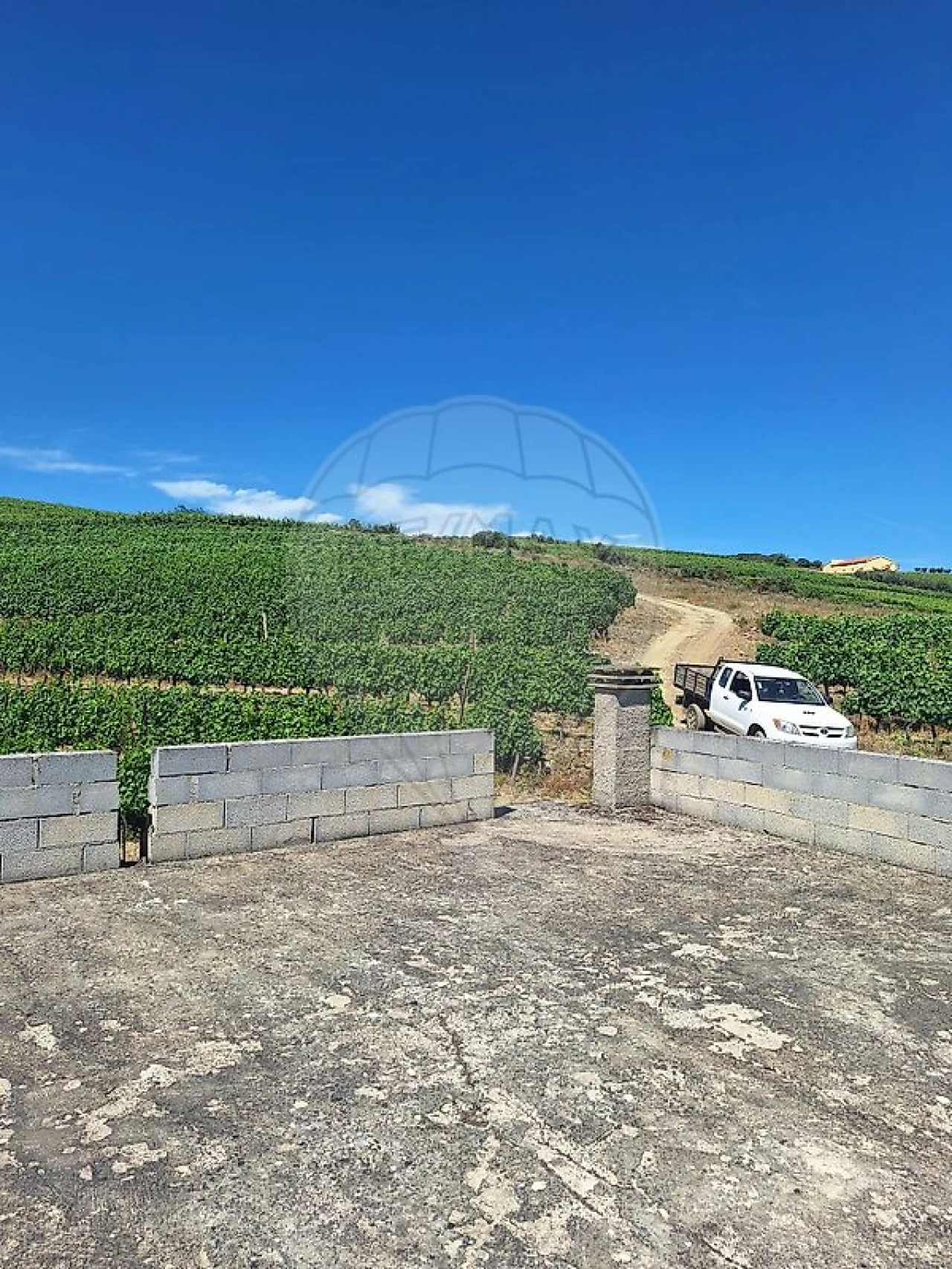 Quinta T
           para Venda em São João da Pesqueira e Várzea de Trevões Foto 13