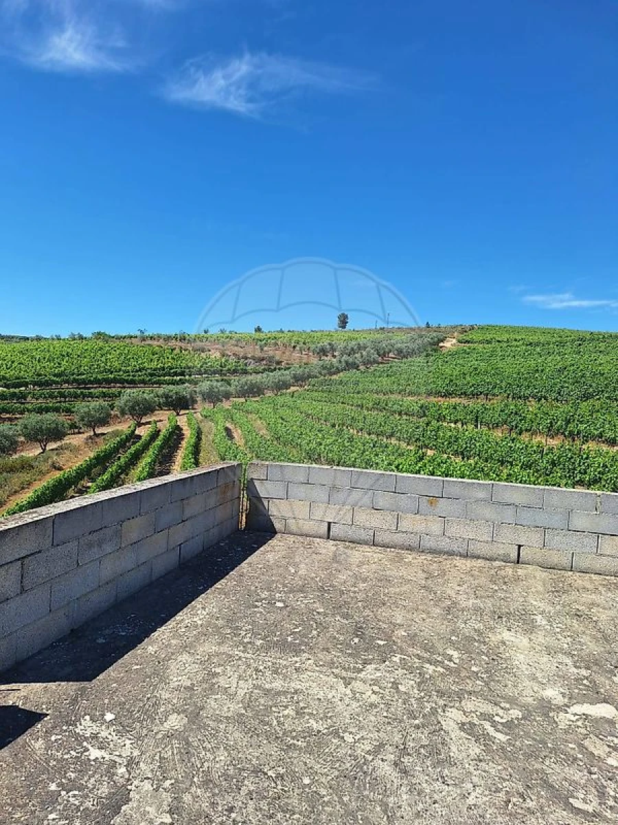 Quinta T
           para Venda em São João da Pesqueira e Várzea de Trevões Foto 12