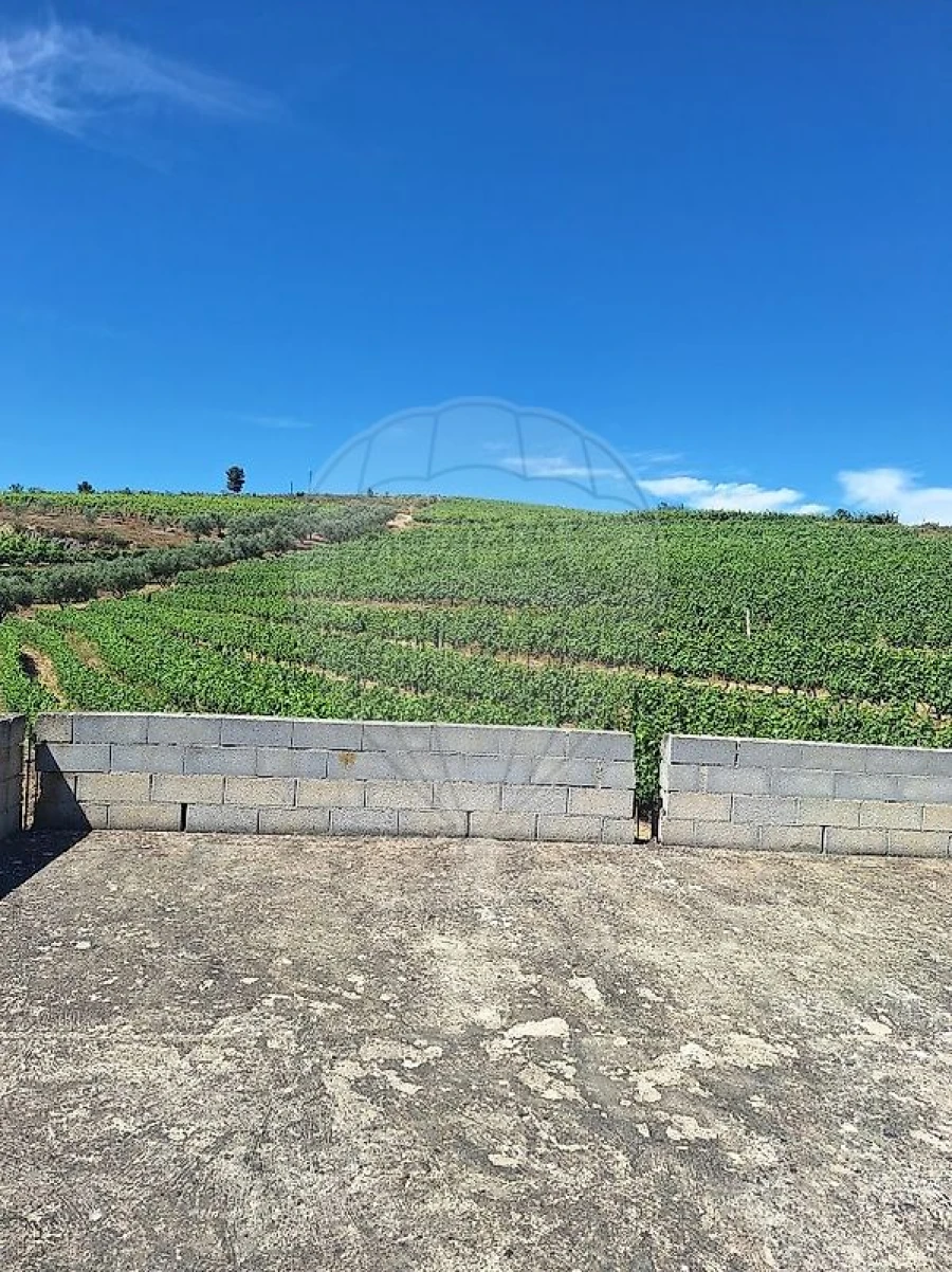 Quinta T
           para Venda em São João da Pesqueira e Várzea de Trevões Foto 15