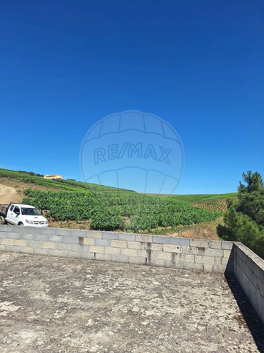 Quinta T
           para Venda em São João da Pesqueira e Várzea de Trevões Foto 14