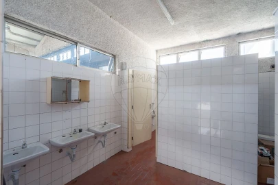 Armazém para Venda em Eiras e São Paulo de Frades