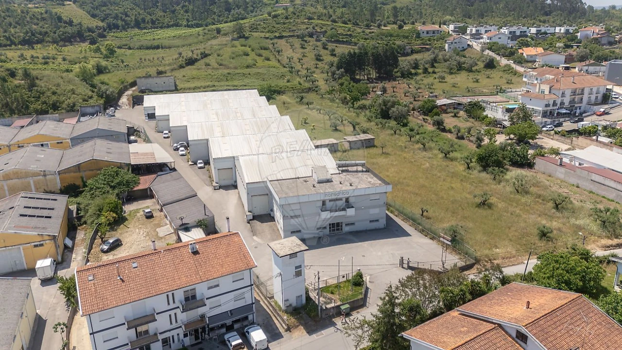 Armazém para Venda em Eiras e São Paulo de Frades Foto 5