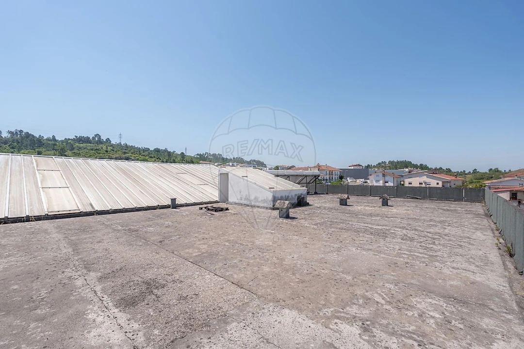 Armazém para Venda em Eiras e São Paulo de Frades Foto 8