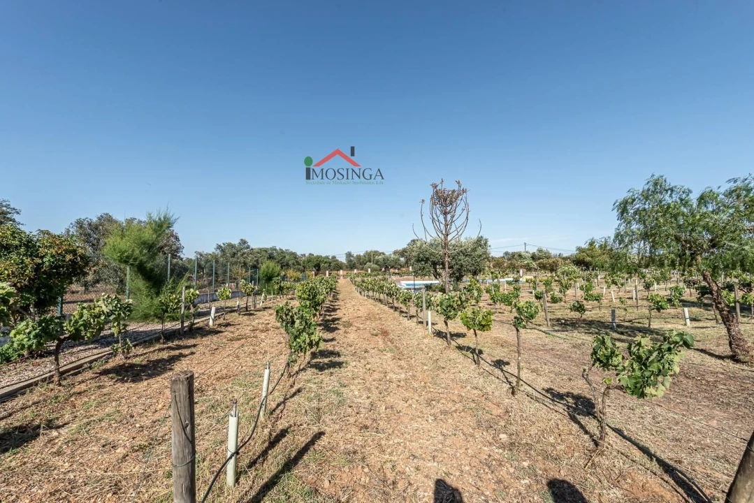 Moradia T4 para Venda em Ferreira do Alentejo e Canhestros Foto 45