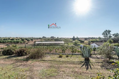 Moradia T4 para Venda em Ferreira do Alentejo e Canhestros