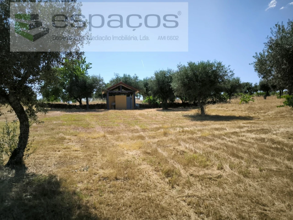 Quinta T2 para Venda em Escalos de Baixo e Mata Foto 25