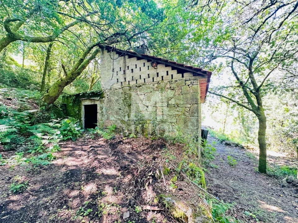 Quinta T3 para Venda em Sande, Vilarinho, Barros e Gomide Foto 4