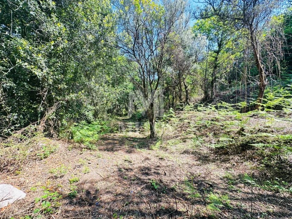 Quinta T3 para Venda em Sande, Vilarinho, Barros e Gomide Foto 13