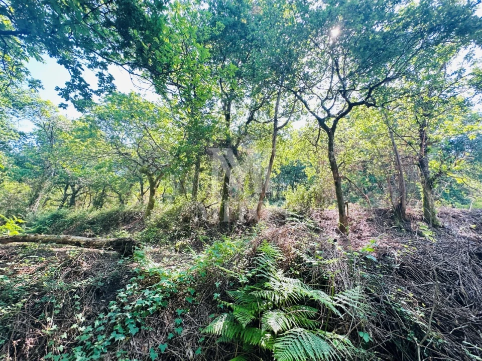 Quinta T3 para Venda em Sande, Vilarinho, Barros e Gomide Foto 14