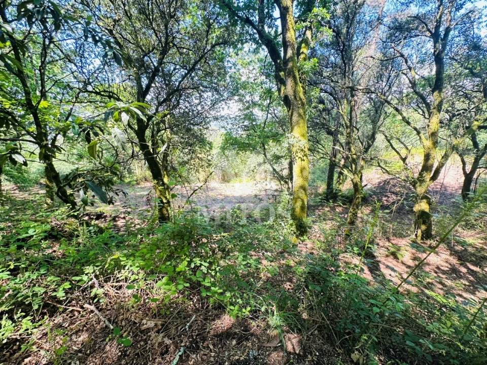 Quinta T3 para Venda em Sande, Vilarinho, Barros e Gomide Foto 16