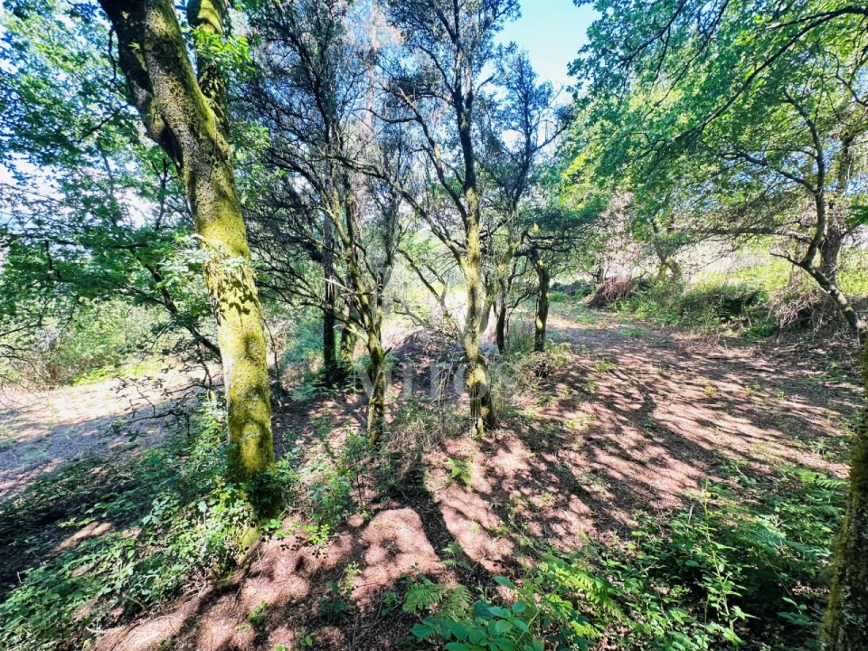 Quinta T3 para Venda em Sande, Vilarinho, Barros e Gomide Foto 17