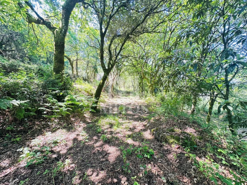 Quinta T3 para Venda em Sande, Vilarinho, Barros e Gomide Foto 18