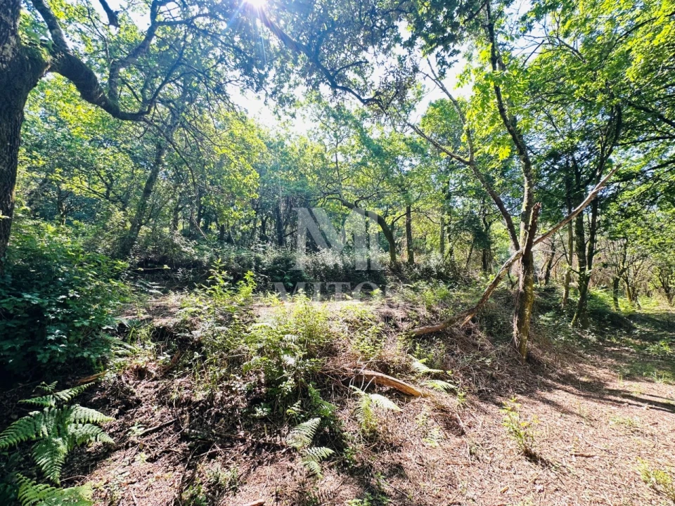 Quinta T3 para Venda em Sande, Vilarinho, Barros e Gomide Foto 19