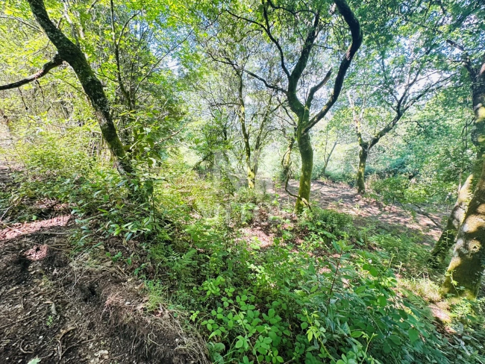 Quinta T3 para Venda em Sande, Vilarinho, Barros e Gomide Foto 20