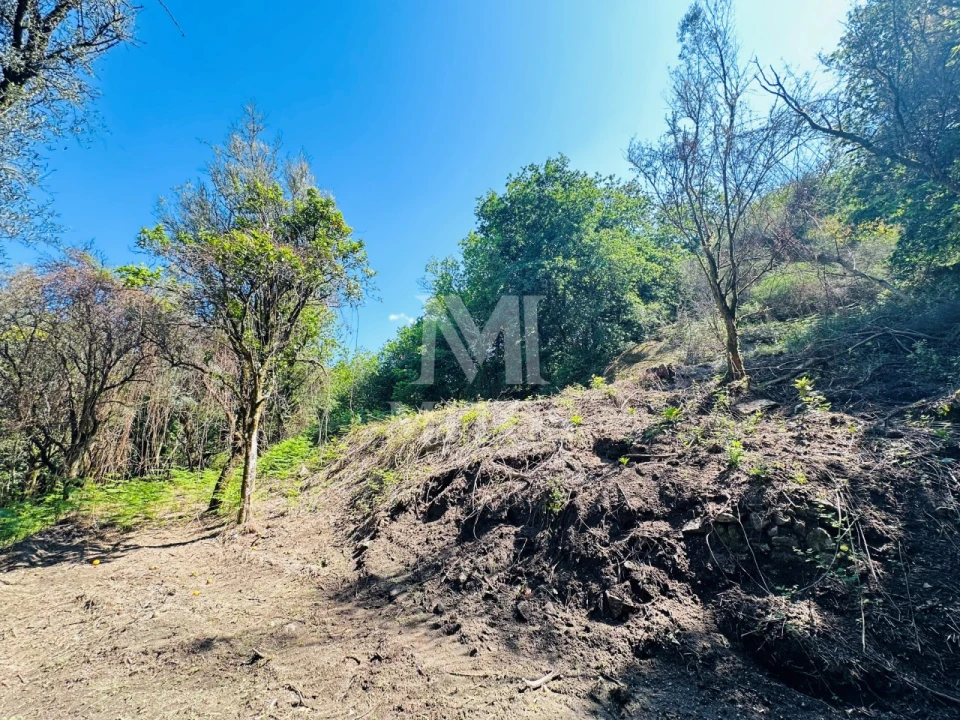 Quinta T3 para Venda em Sande, Vilarinho, Barros e Gomide Foto 21