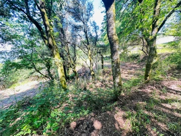 Quinta T3 para Venda em Sande, Vilarinho, Barros e Gomide