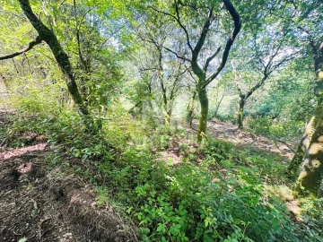 Quinta T3 para Venda em Sande, Vilarinho, Barros e Gomide