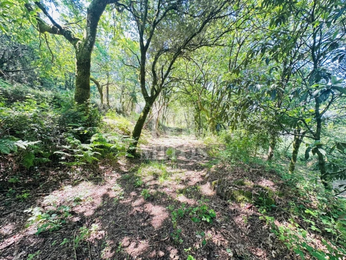 Quinta T3 para Venda em Sande, Vilarinho, Barros e Gomide Foto 18