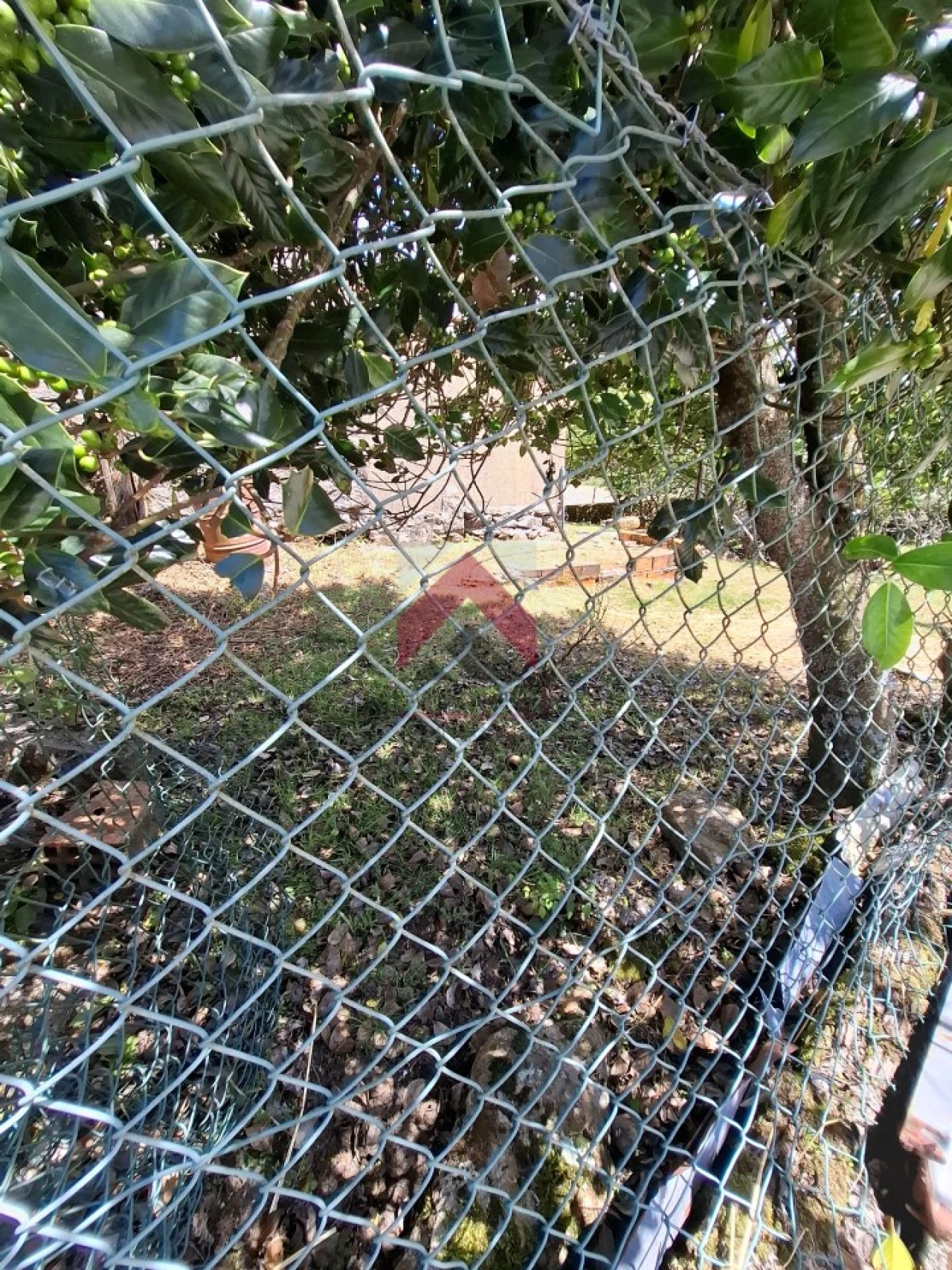 Quinta T3 para Venda em Junqueira Foto 50