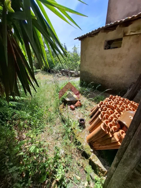 Quinta T3 para Venda em Junqueira
