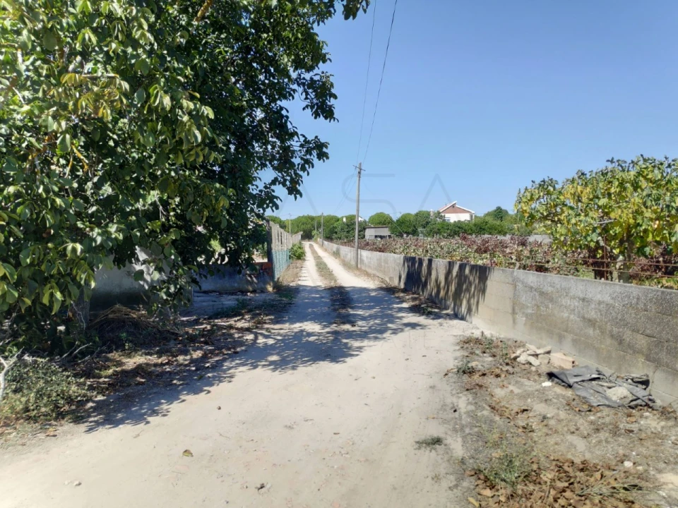 Negócio para Arrendamento em Gambia-Pontes-Alto da Guerra Foto 18