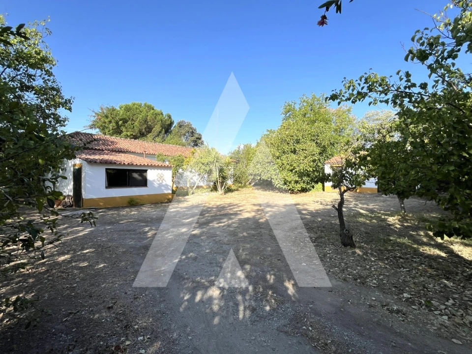 Quinta T3 para Venda em Bacelo e Senhora da Saúde Foto 11