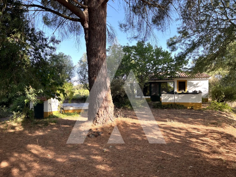 Quinta T3 para Venda em Bacelo e Senhora da Saúde Foto 12