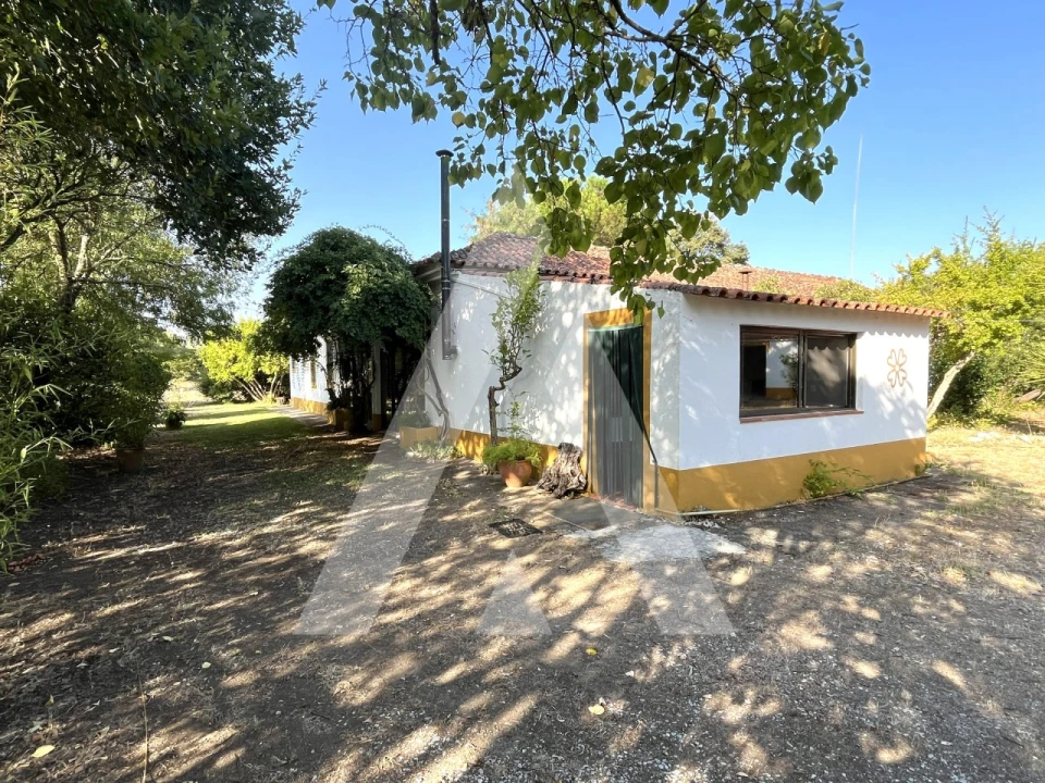 Quinta T3 para Venda em Bacelo e Senhora da Saúde Foto 14