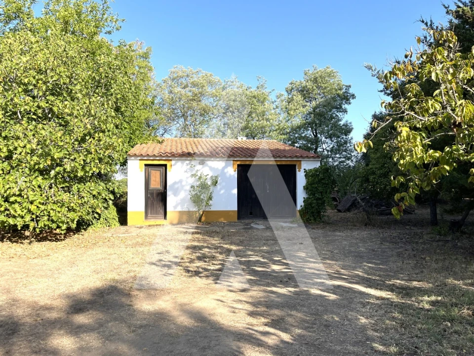 Quinta T3 para Venda em Bacelo e Senhora da Saúde Foto 16