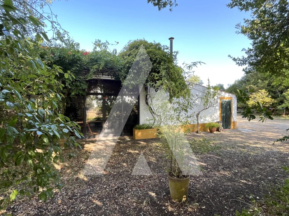 Quinta T3 para Venda em Bacelo e Senhora da Saúde Foto 13