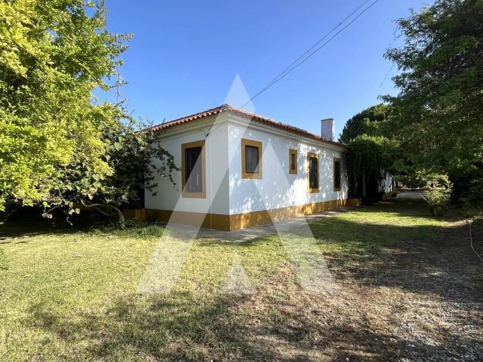 Quinta T3 para Venda em Bacelo e Senhora da Saúde Foto 17