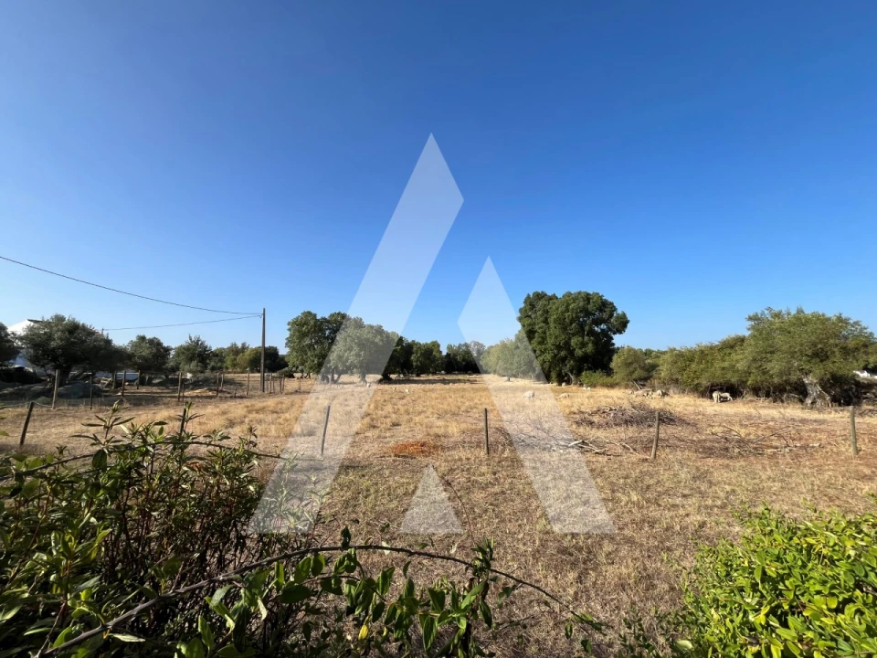 Quinta T3 para Venda em Bacelo e Senhora da Saúde Foto 18
