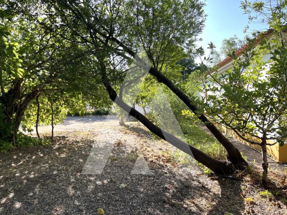 Quinta T3 para Venda em Bacelo e Senhora da Saúde Foto 25
