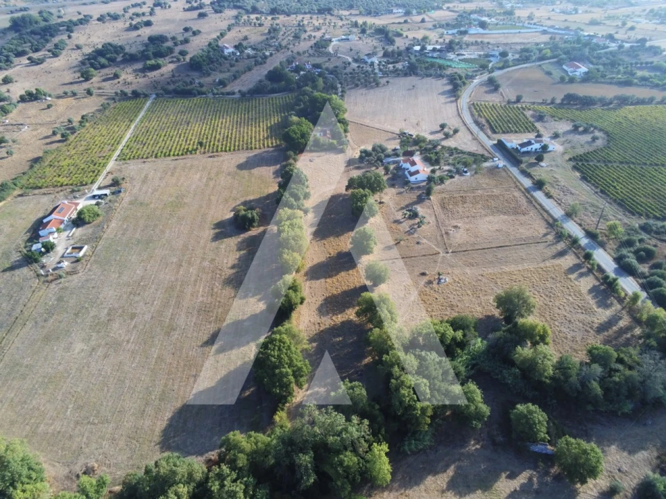Quinta T3 para Venda em Bacelo e Senhora da Saúde Foto 73