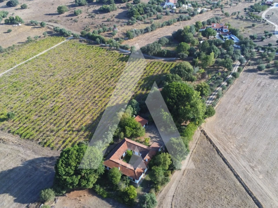 Quinta T3 para Venda em Bacelo e Senhora da Saúde Foto 1