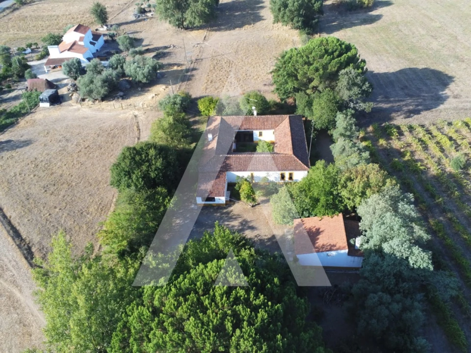Quinta T3 para Venda em Bacelo e Senhora da Saúde Foto 2