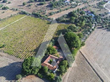 Quinta T3 para Venda em Bacelo e Senhora da Saúde