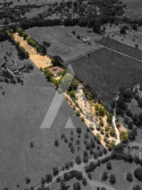 Quinta T3 para Venda em Bacelo e Senhora da Saúde