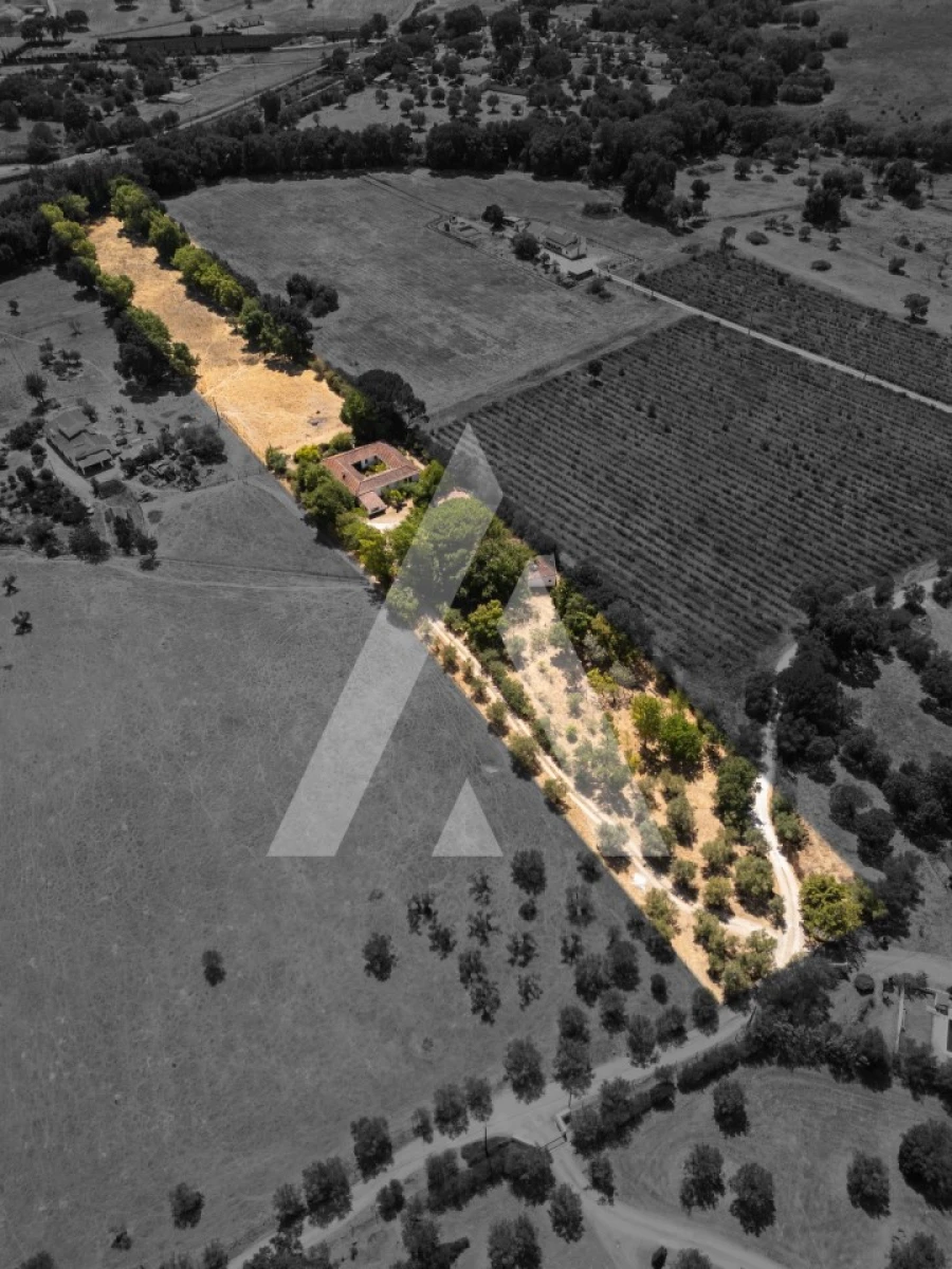 Quinta T3 para Venda em Bacelo e Senhora da Saúde Foto 76