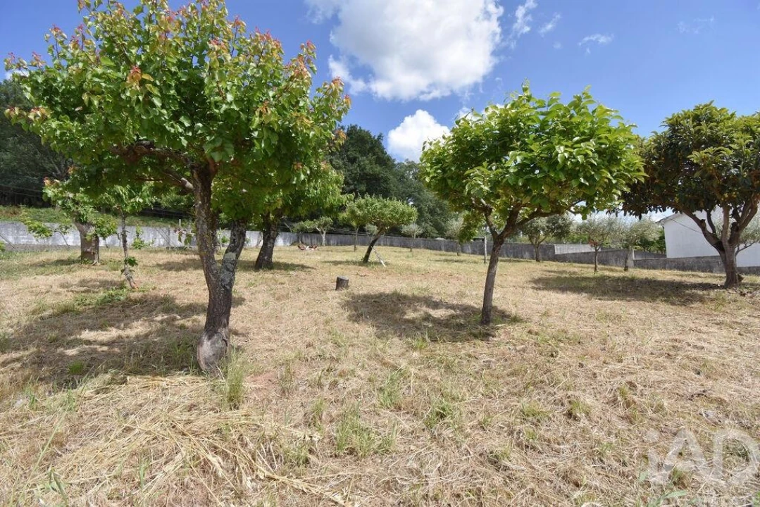 Moradia T4 para Venda em São Miguel, Santa Eufémia e Rabaçal Foto 33
