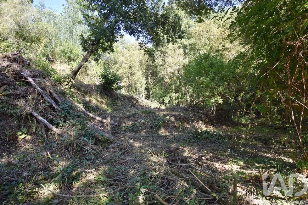 Terreno para Venda em Espinhal Foto 24