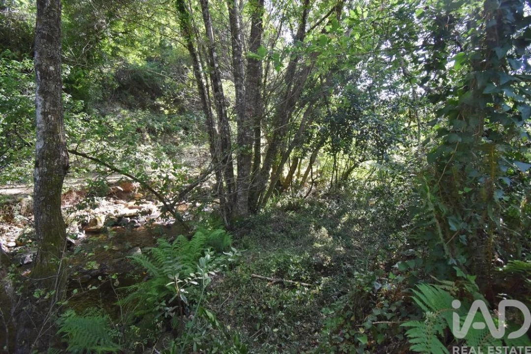 Terreno para Venda em Espinhal Foto 18