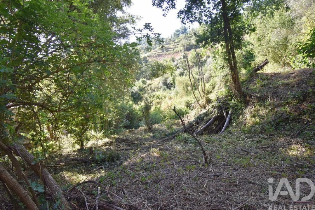 Terreno para Venda em Espinhal Foto 11