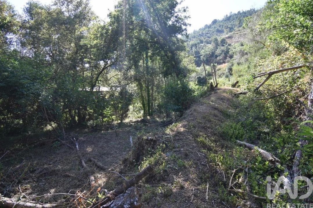 Terreno para Venda em Espinhal Foto 7