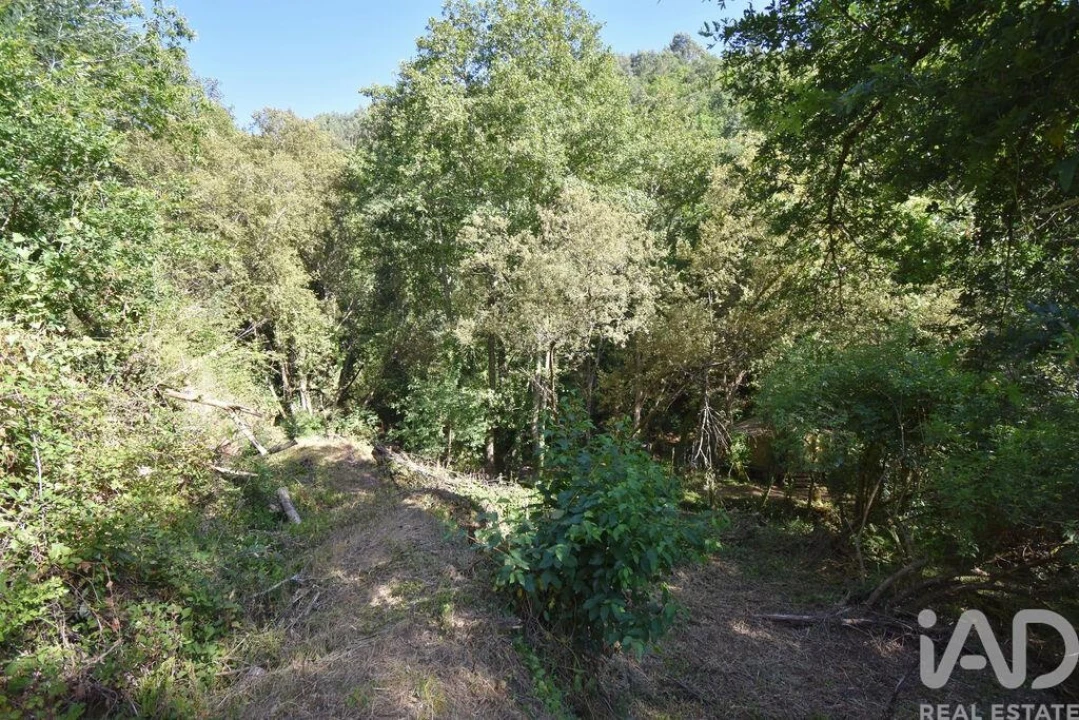 Terreno para Venda em Espinhal Foto 8