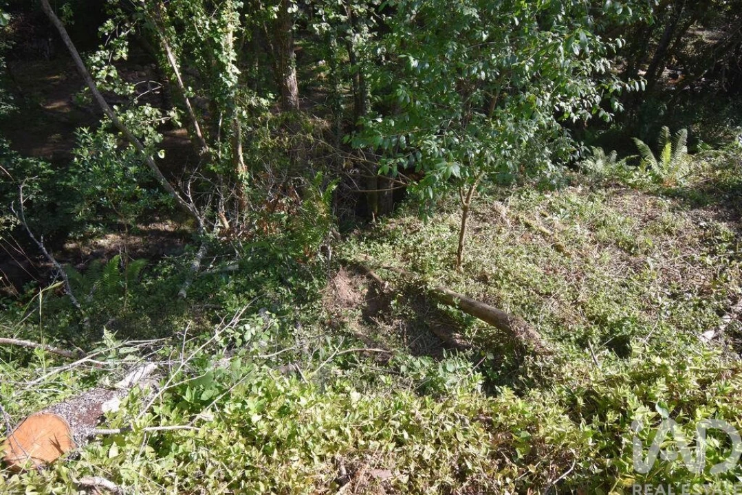 Terreno para Venda em Espinhal Foto 5