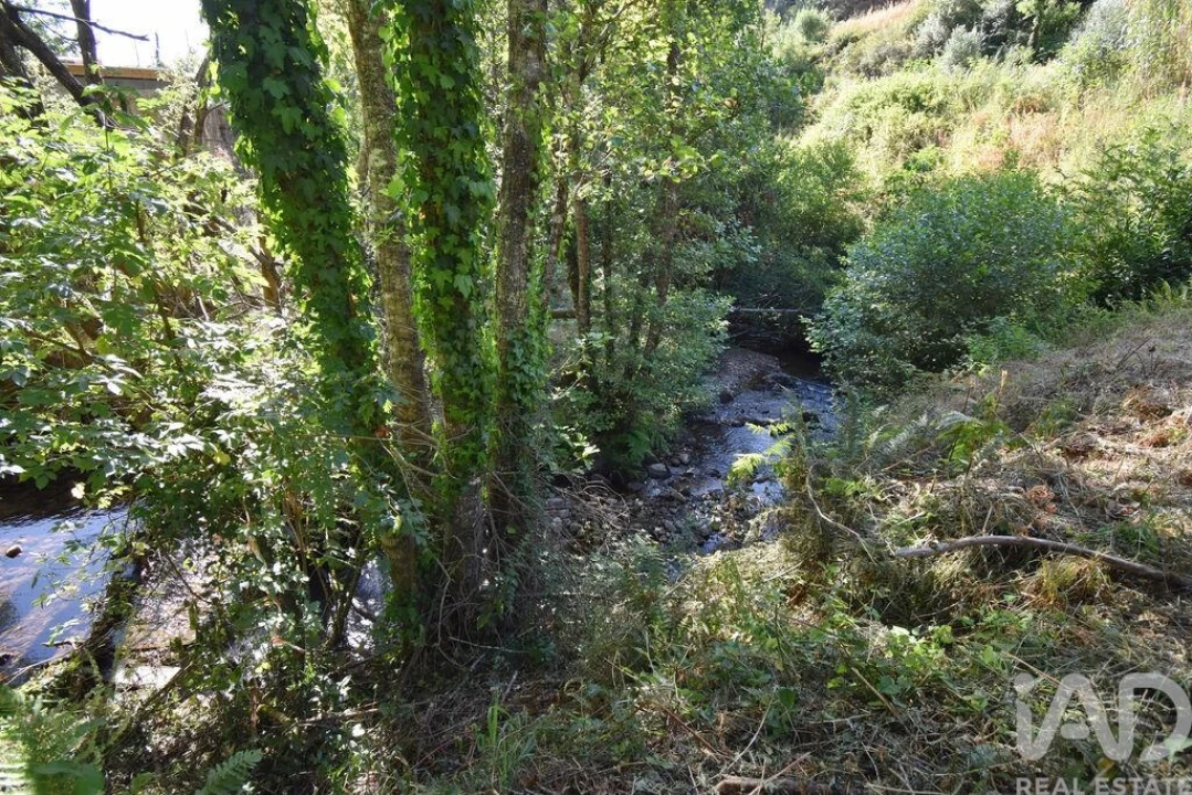 Terreno para Venda em Espinhal Foto 22