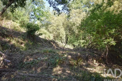 Terreno para Venda em Espinhal