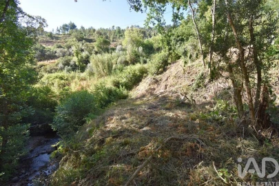 Terreno para Venda em Espinhal